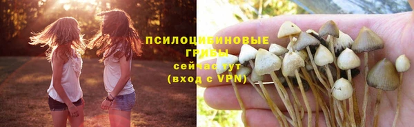 эйфоретик Алексин
