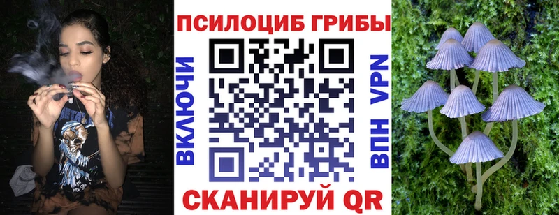 наркота  Кремёнки  Галлюциногенные грибы GOLDEN TEACHER 